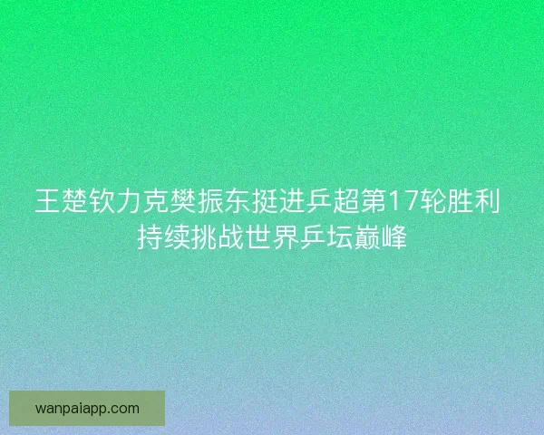 王楚钦力克樊振东挺进乒超第17轮胜利 持续挑战世界乒坛巅峰