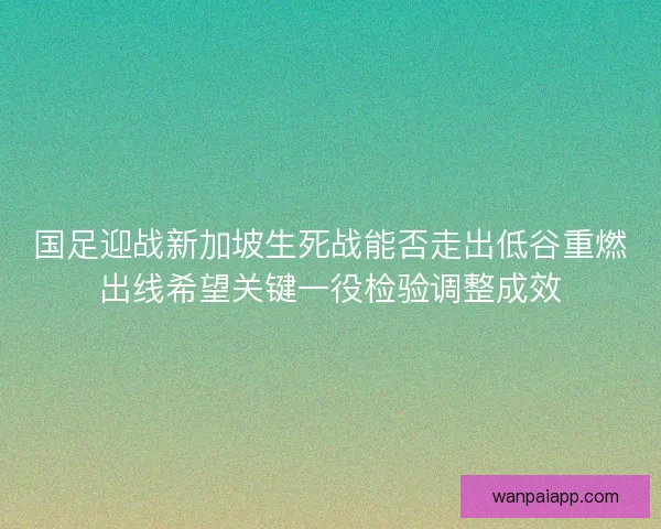 国足迎战新加坡生死战能否走出低谷重燃出线希望关键一役检验调整成效