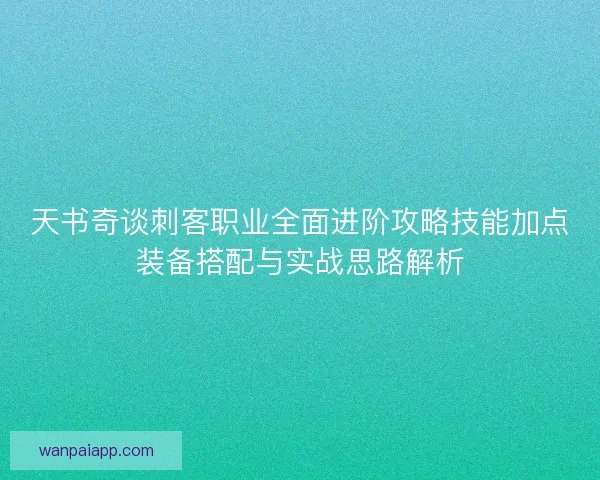 天书奇谈刺客职业全面进阶攻略技能加点装备搭配与实战思路解析